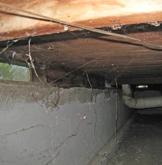 Crawl Space Water Extraction in Point Venture, TX