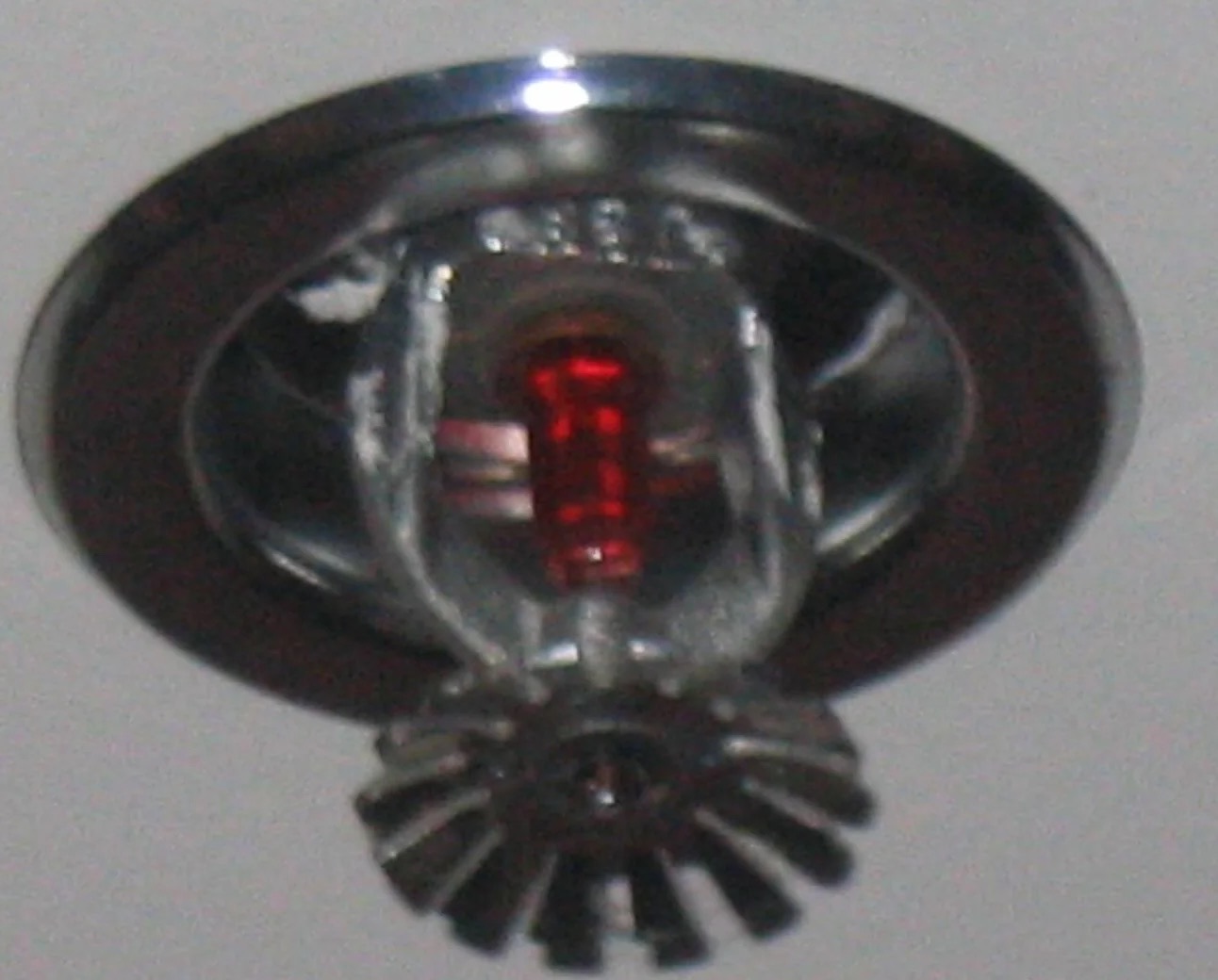 Fire Sprinkler Discharge Water Removal in Boerne, TX