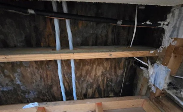 Attic Water Extraction in Smithville, TX